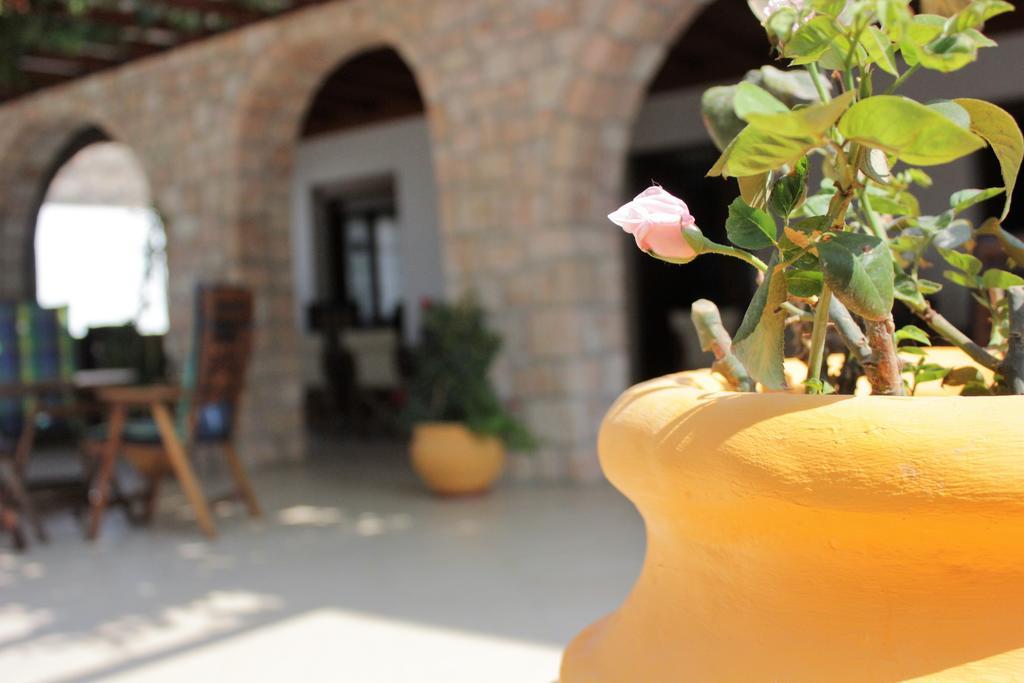 Hotel Delfini Adamantas  Екстериор снимка